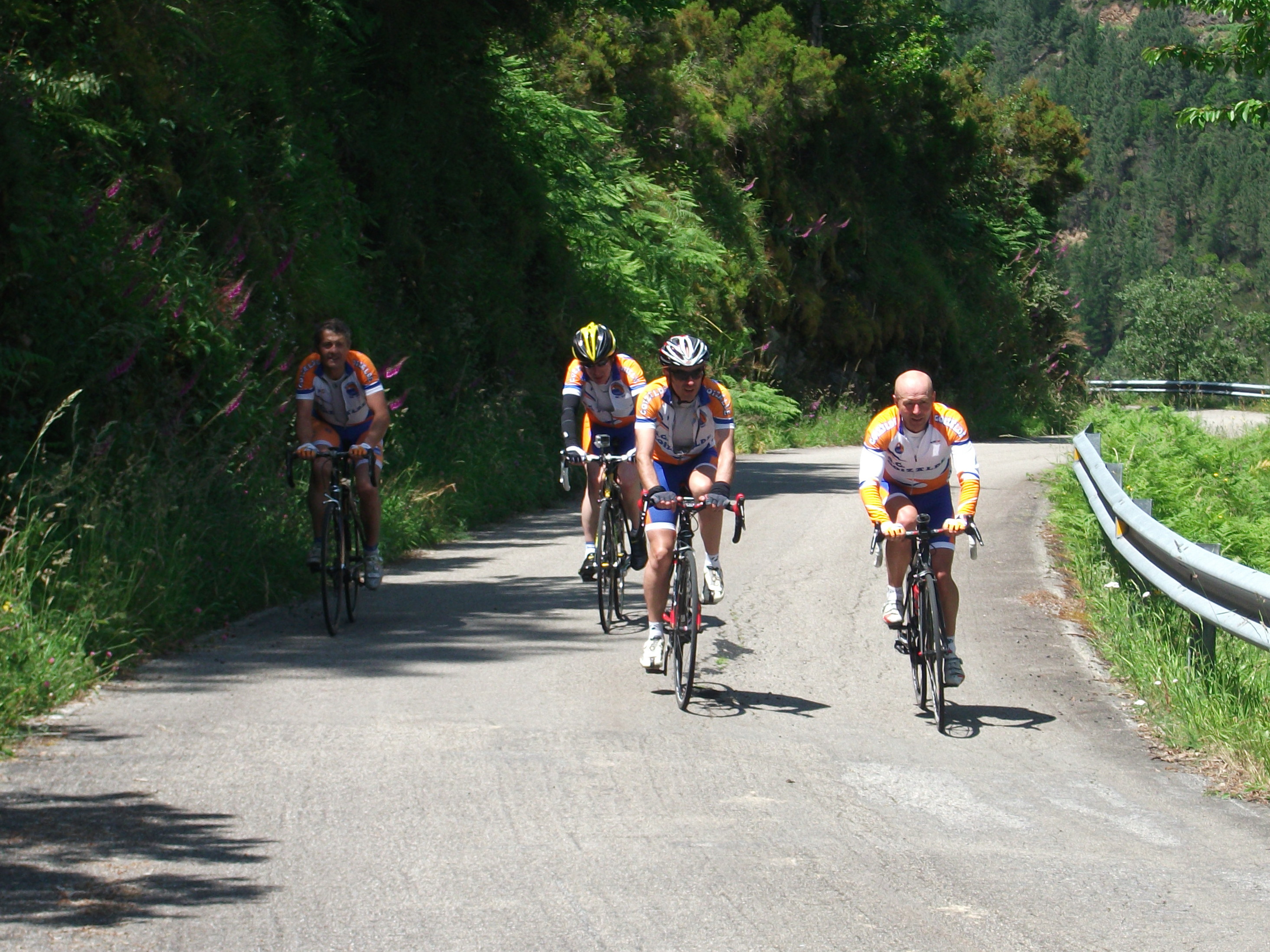 S.C. GOIZALDE