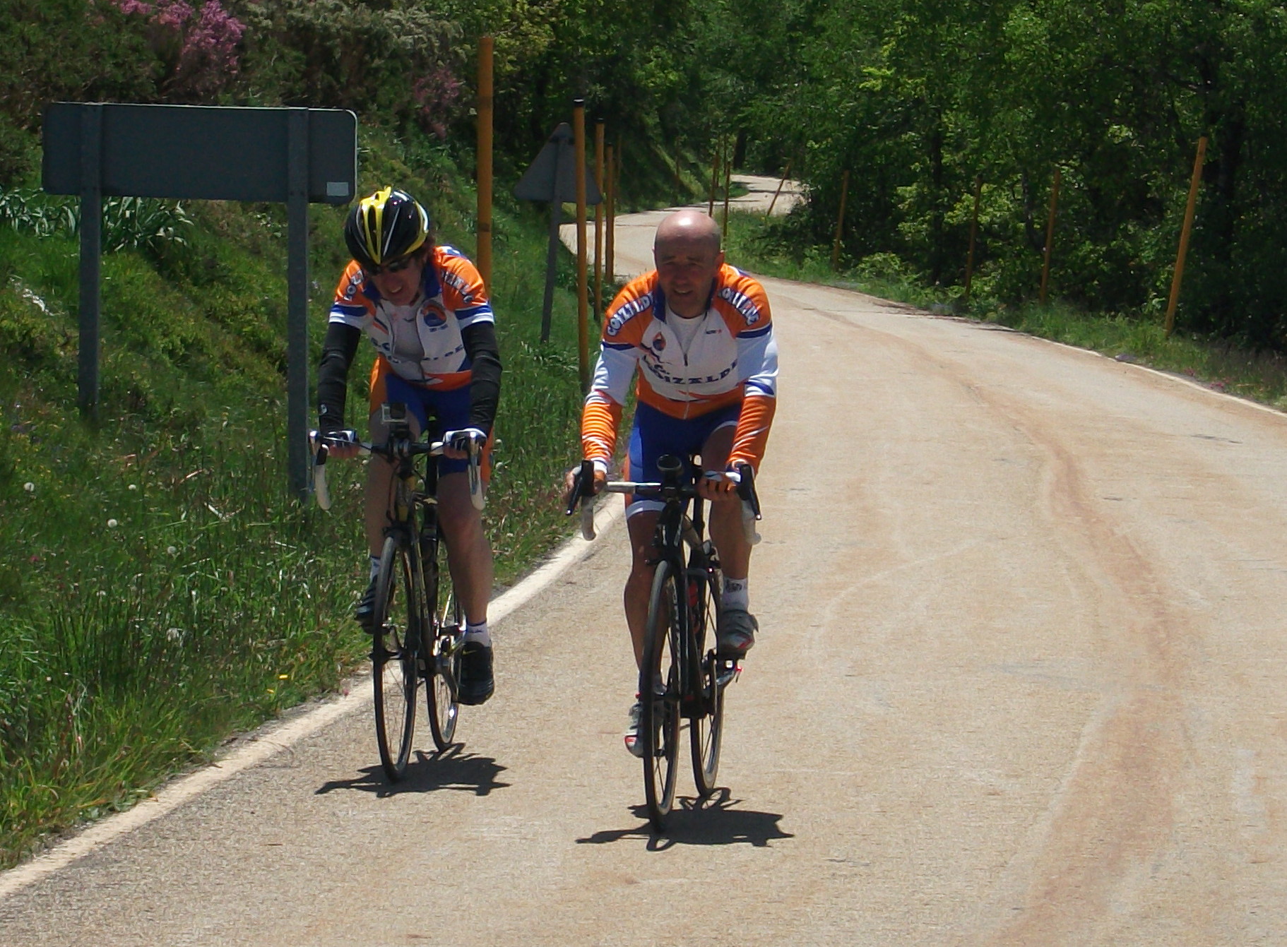S.C. GOIZALDE