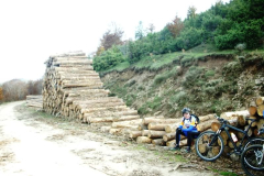 Ezcaray2009303